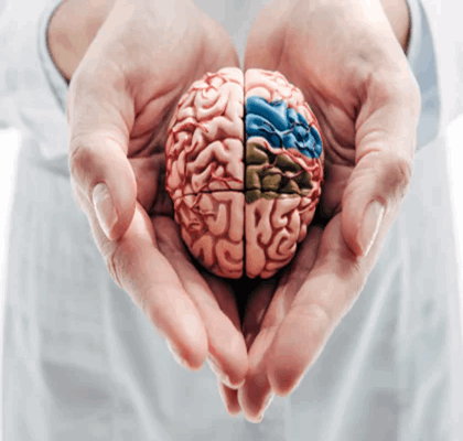 How Pineal Guardian works?